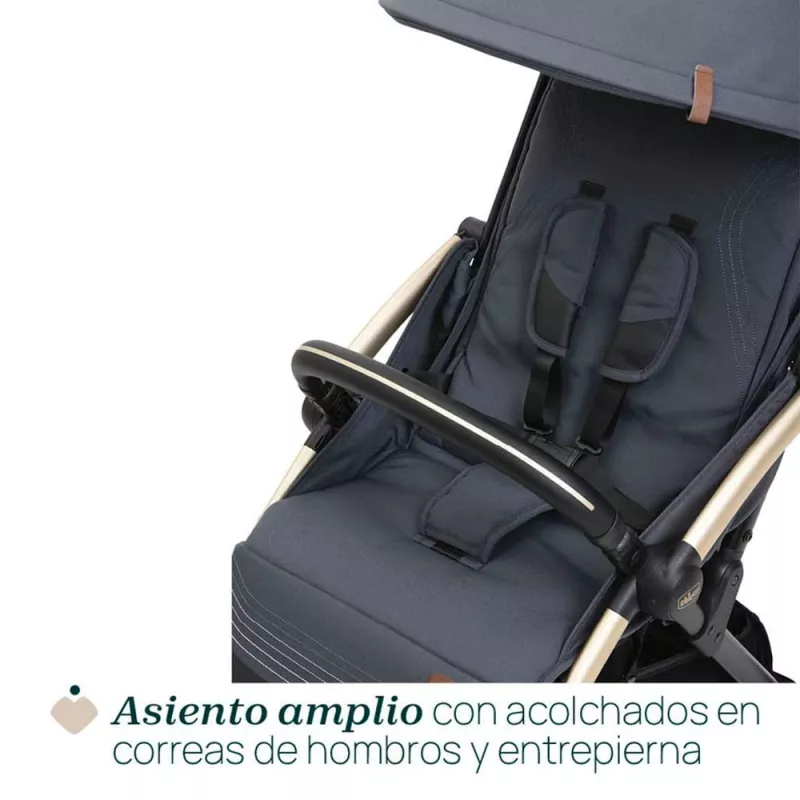 Chicco Silla de Paseo Goody XPlus_Asiento