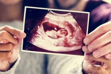 ¿Por qué un portadocumentos bebé es esencial desde el nacimiento?