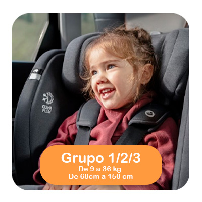 Silla de coche grupo 1/2/3 Maxi-Cosi